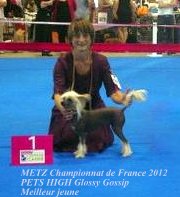 Pets High - Championnat de France - METZ 2012