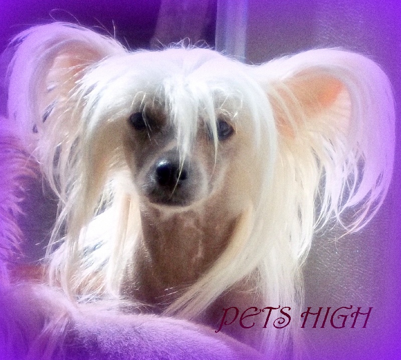 tippytoes Milady de winter